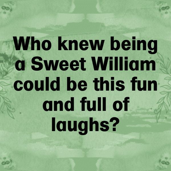 Sweet William Captions Image For Instagram-fOM3es