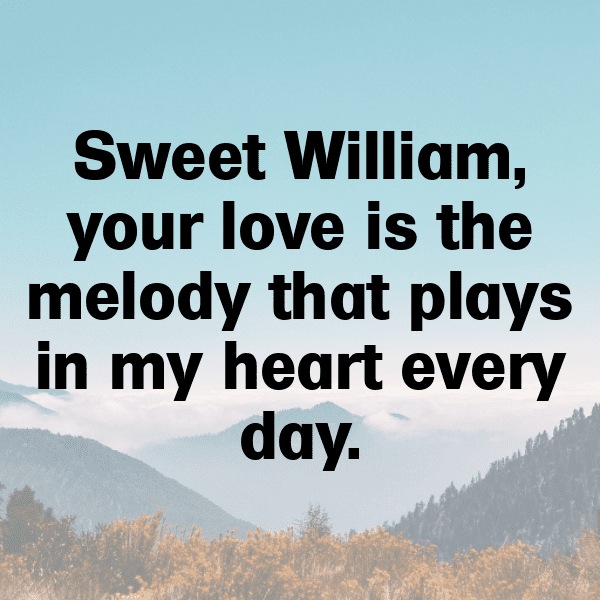 Sweet William Captions Image For Instagram-U7kzFS