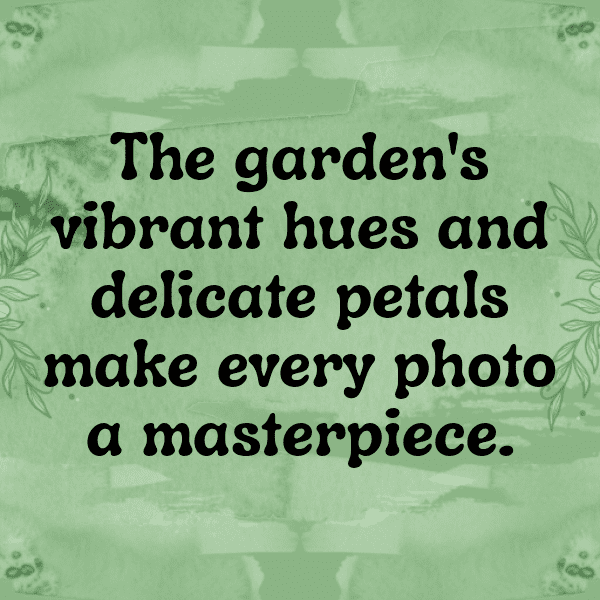 Sweet William Captions Image For Instagram-vhJADB