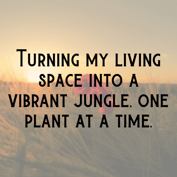 Sweet William Captions Photo For Instagram-3me3Qo