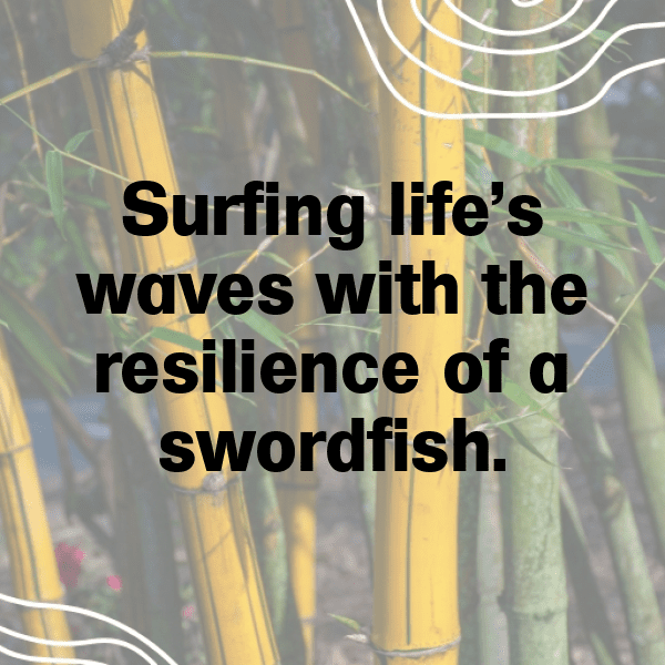 Swordfish Captions Image For Instagram-7vu0Mm