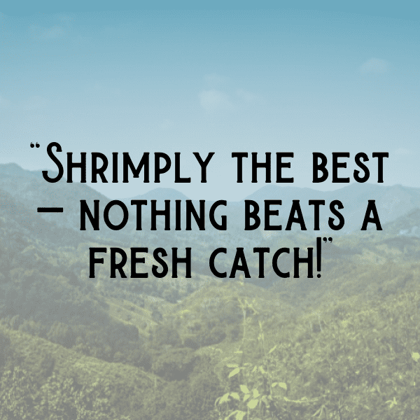 Swordfish Captions Image For Instagram-CYNpvo