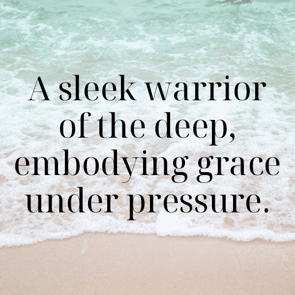 Swordfish Captions Image For Instagram-HGESFO