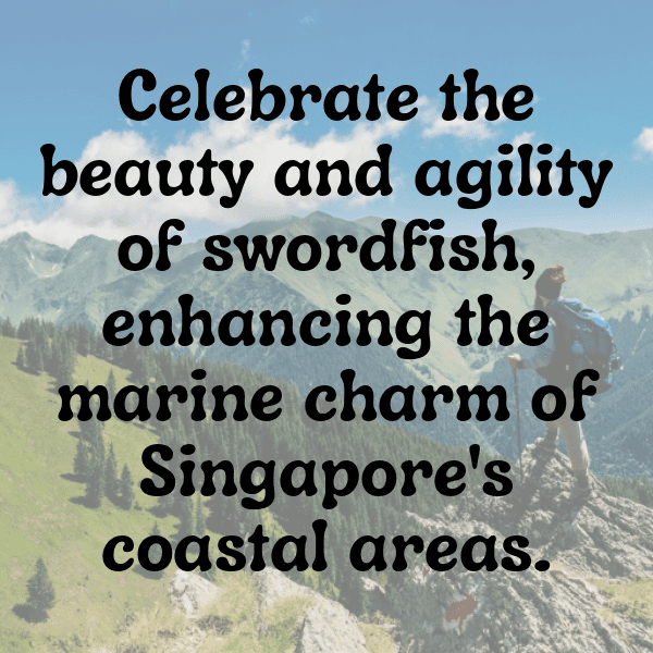 Swordfish Captions Photo For Instagram-joQ8E4