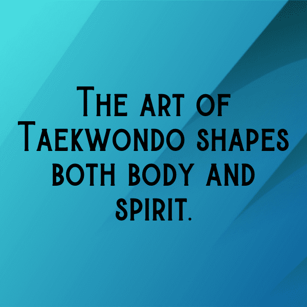 Taekwondo Captions Image for Instagram-goUegF