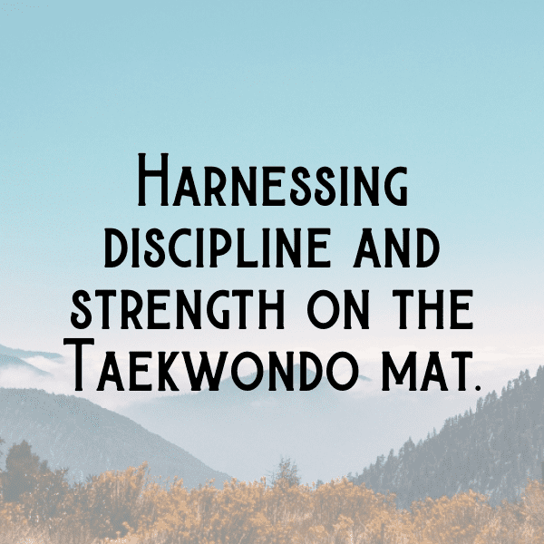 Taekwondo Captions Image for Instagram-huEVnq