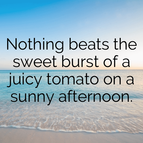 Tamarillo Captions Image For Instagram-rMOzH2