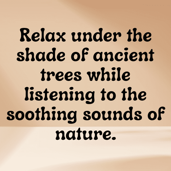 Tamarillo Captions Image For Instagram-vkOxJi