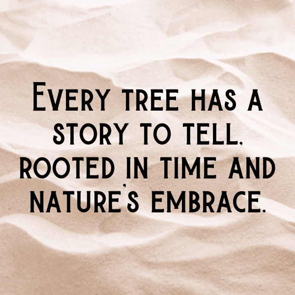 Tamarillo Captions Photo For Instagram-ahJLGZ