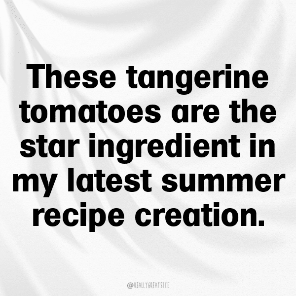 Tangerine Tomato Captions Image For Instagram-55PEtg