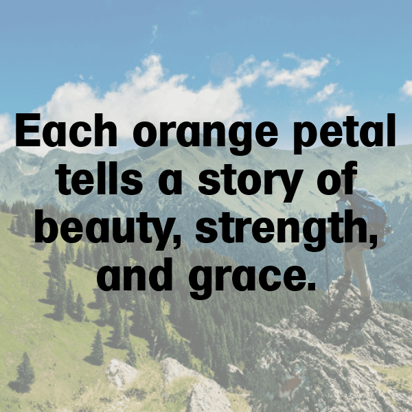 Tangerine Tomato Captions Image For Instagram-PcnP4O