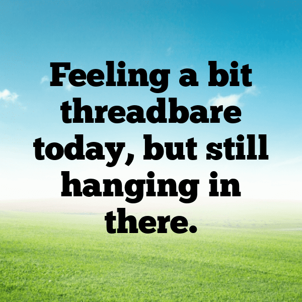 Tarantula Captions Photo For Instagram-Fd4udR