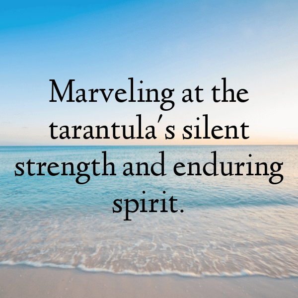 Tarantula Captions Photo For Instagram-TrBadl