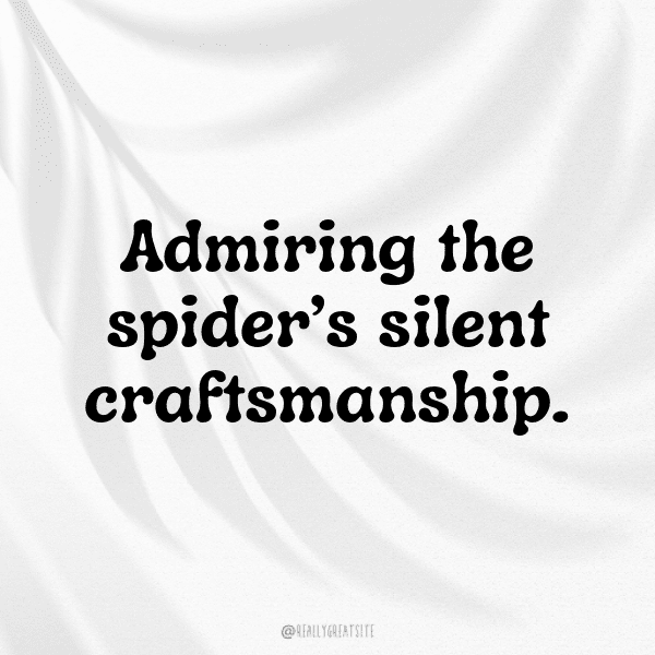 Tarantula Captions Photo For Instagram-y9iKWu