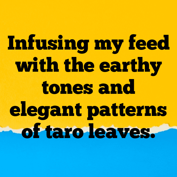 Taro Captions Image For Instagram-4hprQl