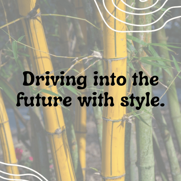 Taro Captions Image For Instagram-QyOEE4