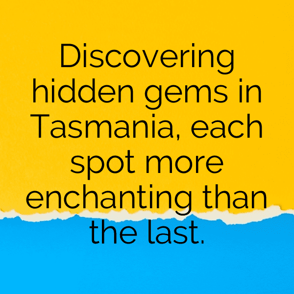326+ Tasmanian Devil Captions For Instagram (Trending, Funny & Top) 1 Tasmanian Devil Captions Image For Instagram-MevGBR