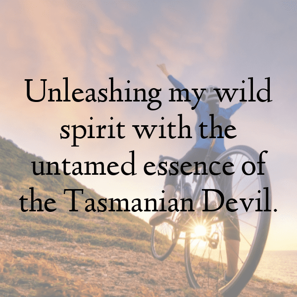 Tasmanian Devil Captions Image For Instagram-QyLO93