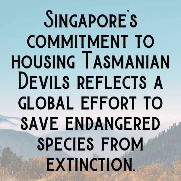 Tasmanian Devil Captions Photo For Instagram-ILtSGG