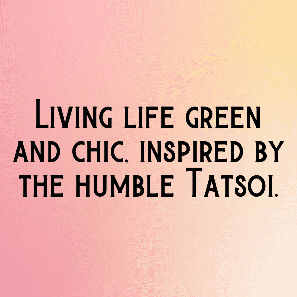Tatsoi Captions Photo For Instagram-rOZwtl
