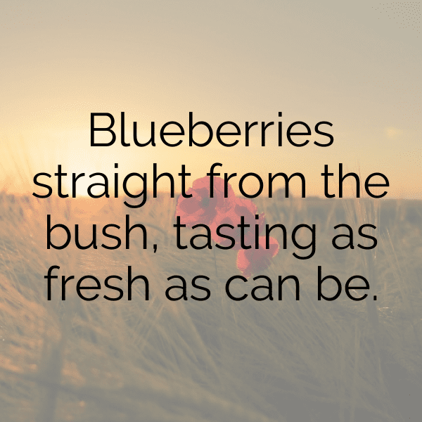 Tayberry Captions Image For Instagram-Ky67TE