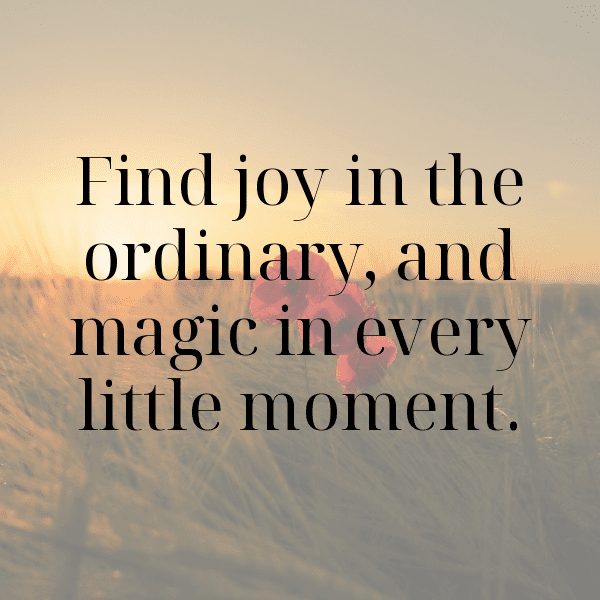 Tesla Cybertruck Captions Image For Instagram-SpK5Va