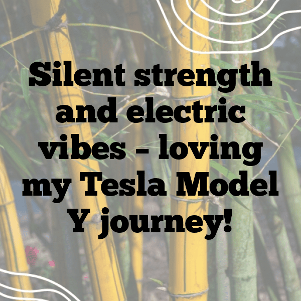 Tesla Model Y Captions Photo for Instagram-cskKsn