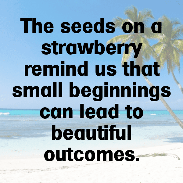 Thimbleberry Captions Image For Instagram-AYjuUE