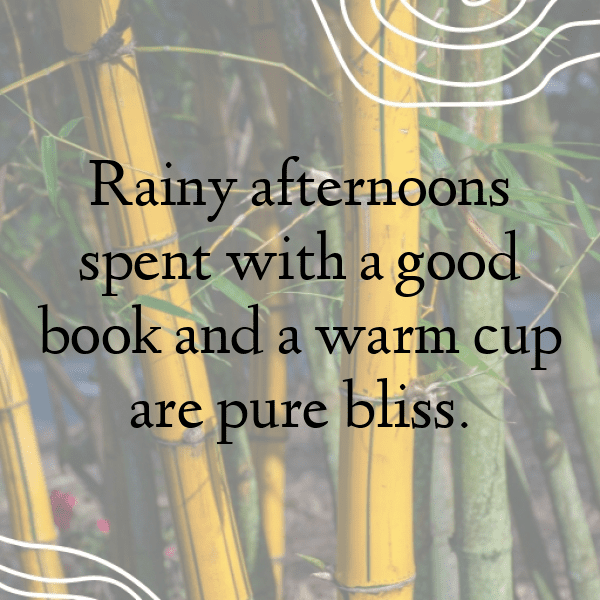 Thunderstorm Captions Image for Instagram-SAYftb