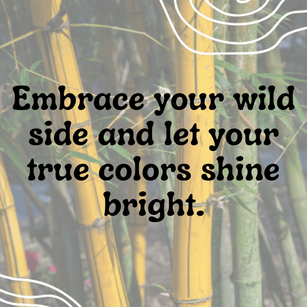 Tiger Captions Image For Instagram-4lPUXu