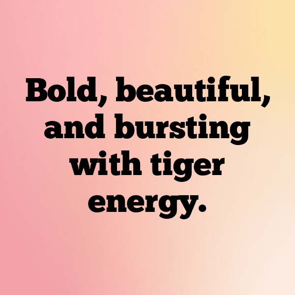 Tiger Captions Image For Instagram-tRzfPh