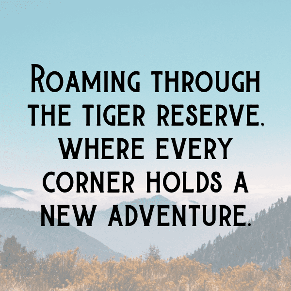 Tiger Captions Photo For Instagram-Wi5kHo