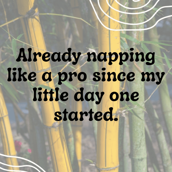 Tiny Wonders Baby Captions Photo for Instagram-BH7ITx