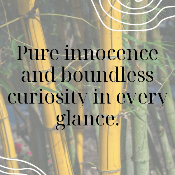 Tiny Wonders Baby Captions Photo for Instagram-FY9IMi