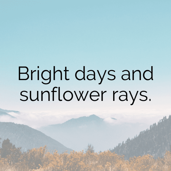 Tithonia Captions Image For Instagram-oCJslL