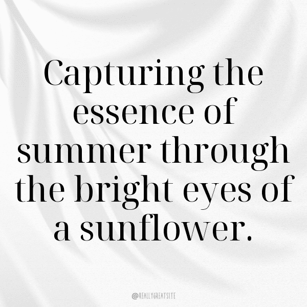 Tithonia Captions Image For Instagram-v2WxLw