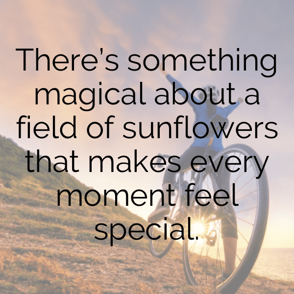 Tithonia Captions Image For Instagram-xQtjmf