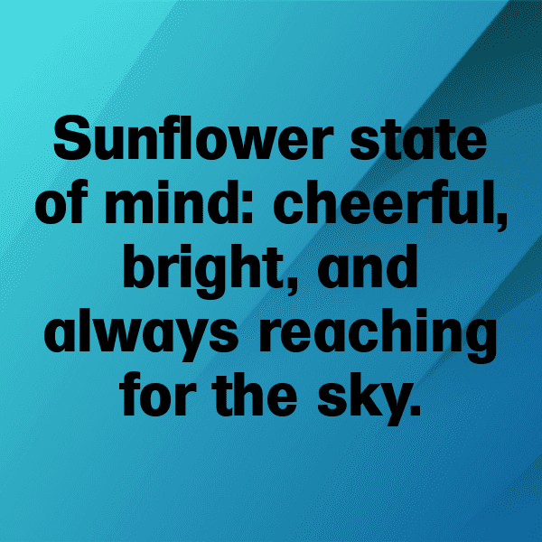 Tithonia Captions Photo For Instagram-Emr0tD