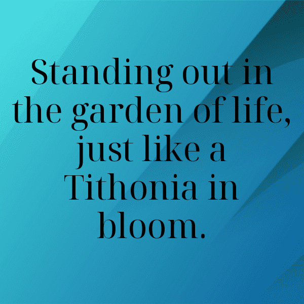 Tithonia Captions Photo For Instagram-FA3P9q