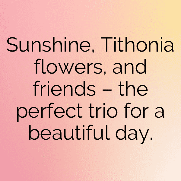 Tithonia Captions Photo For Instagram-g51duj