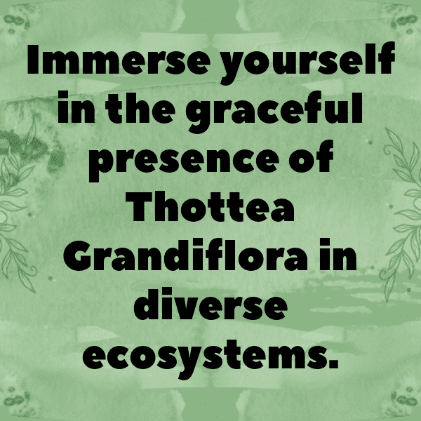 Tithonia Captions Photo For Instagram-XDLq2C