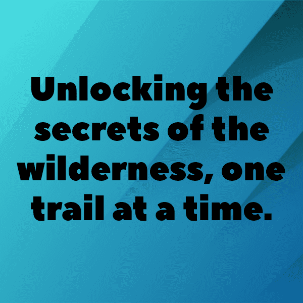 Toad Captions Image For Instagram-1vMDnQ