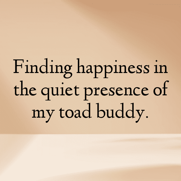 Toad Captions Image For Instagram-97WNm4