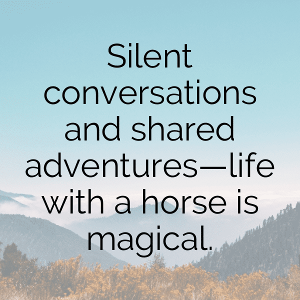 Toad Captions Photo For Instagram-AqOmbr