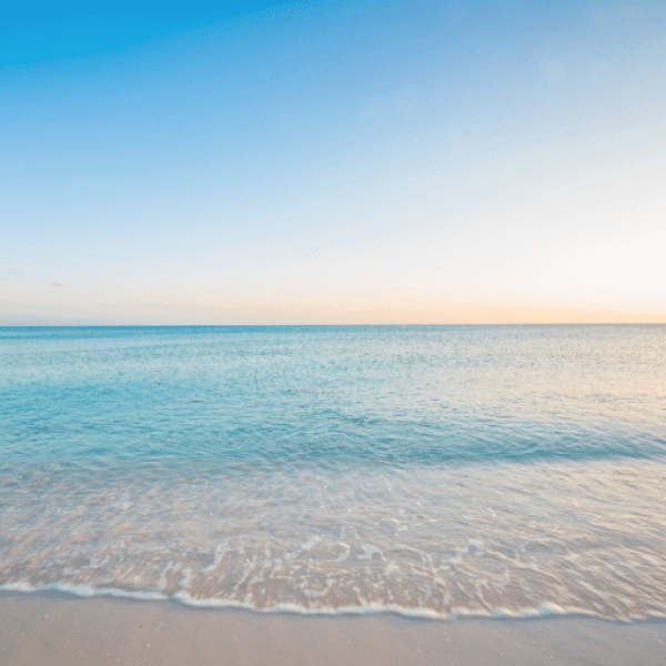 Toad Captions Photo For Instagram-wwGh4c