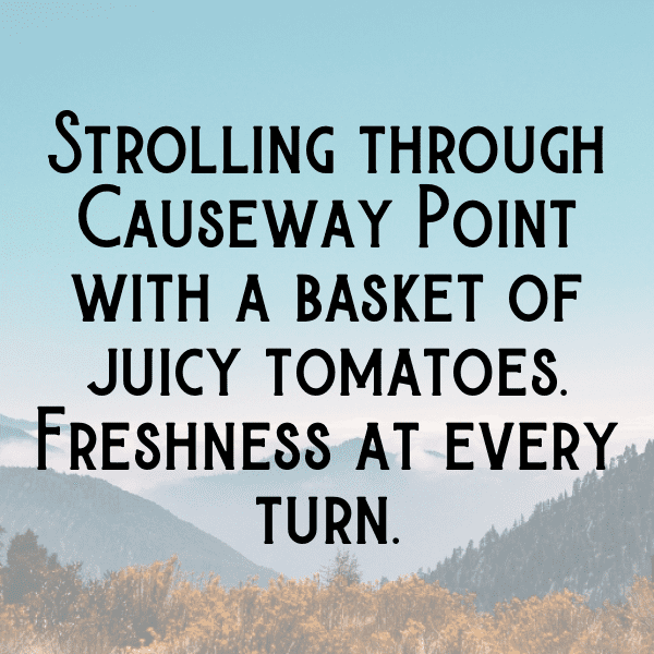 Tomato Captions Image For Instagram-fSb3I5