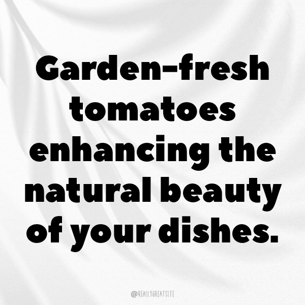 Tomato Captions Photo For Instagram-QcNVng