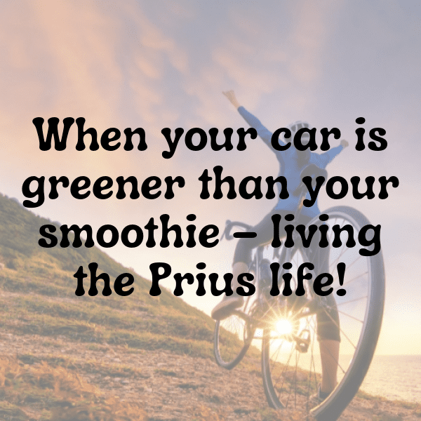 Toyota Prius Captions Photo for Instagram-Estfwq
