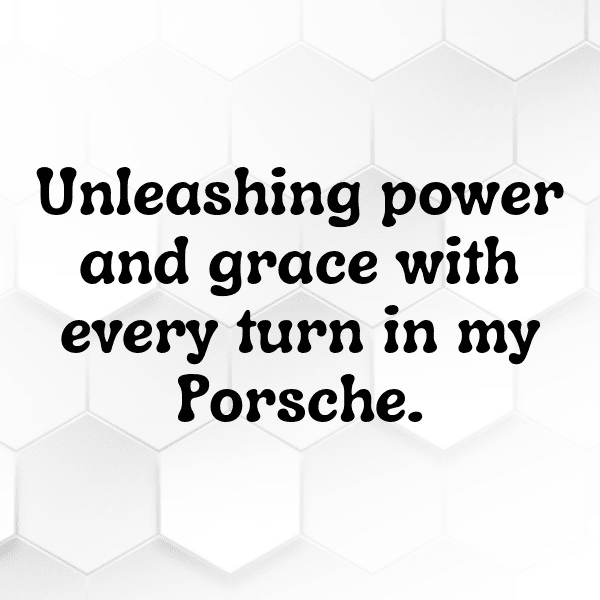 Toyota Prius Captions Photo for Instagram-gcpr36