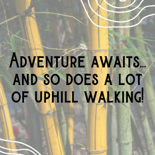 Trekking Captions Image For Instagram-150ASt